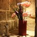 Niche