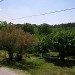 Arbres et nature au mois de mai